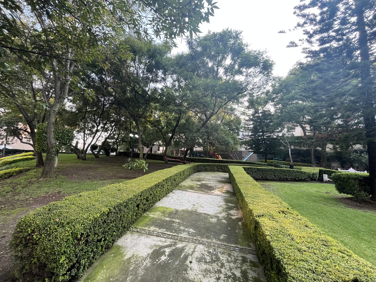 35 de 46
