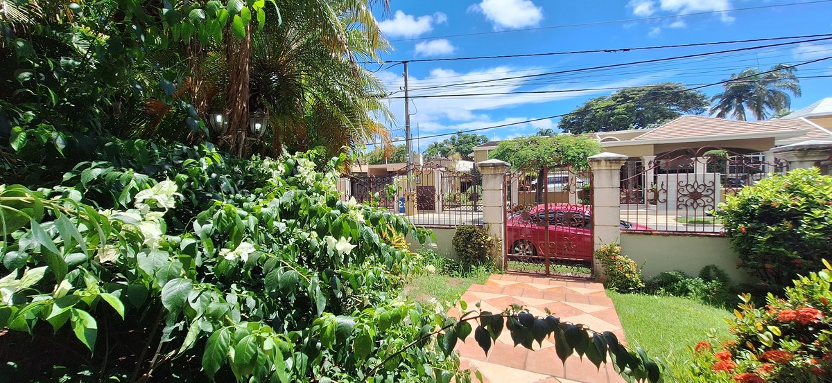 1 de 19