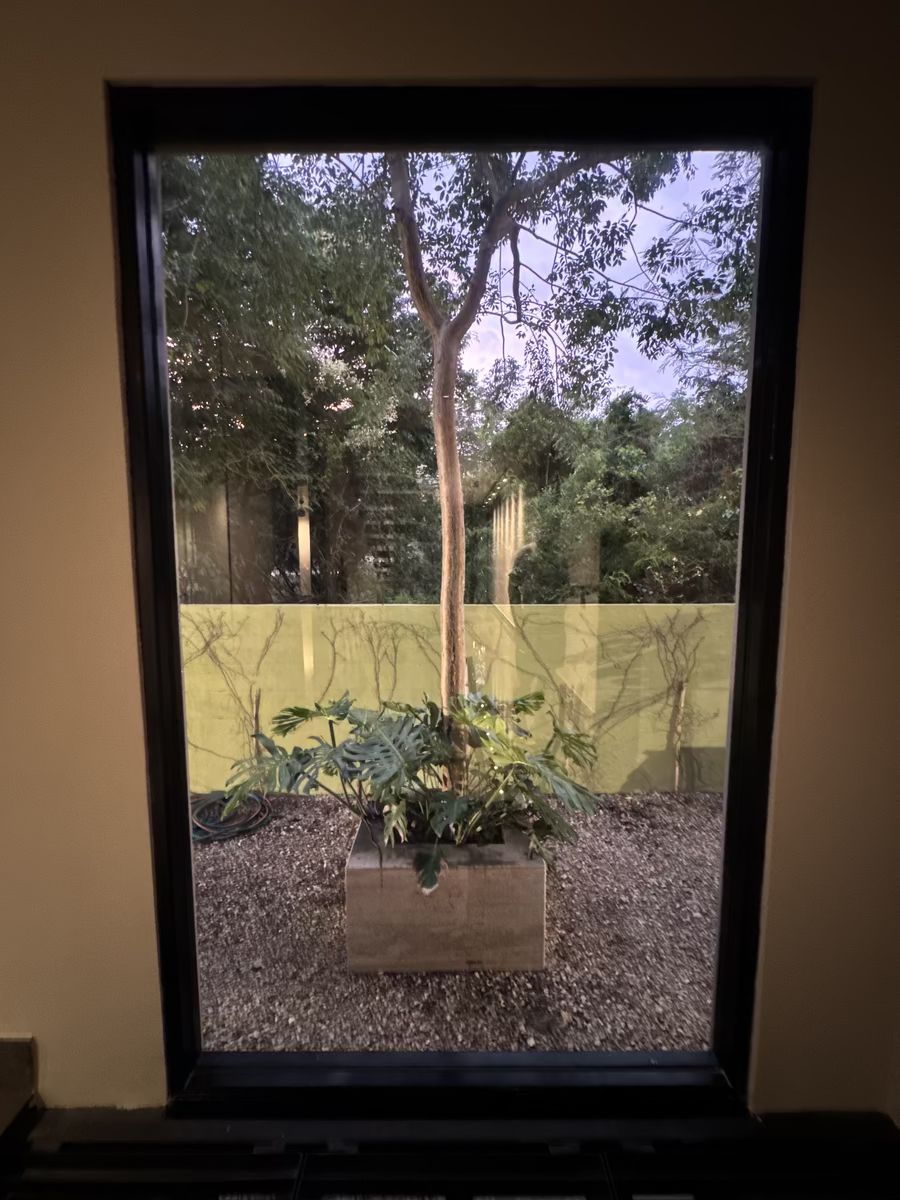 31 de 41