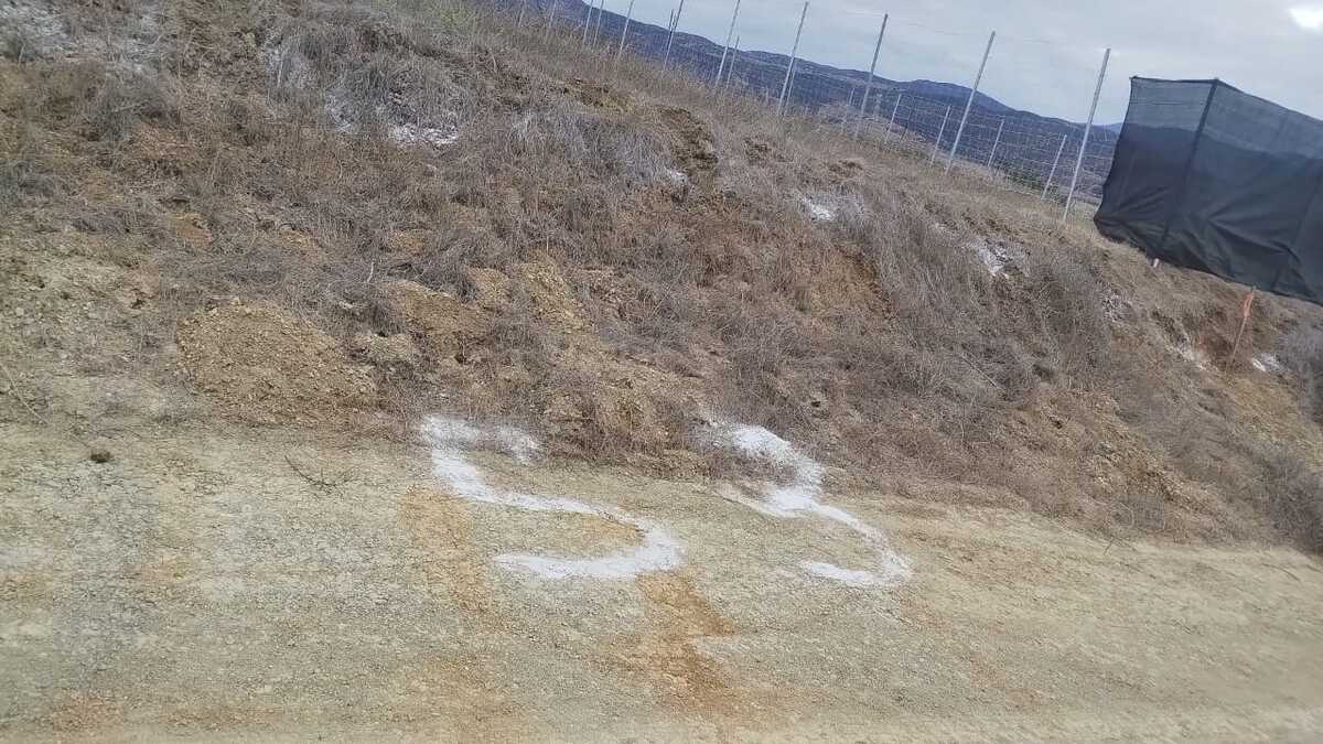 5 de 7