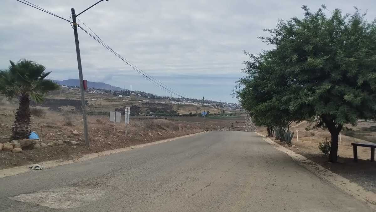 7 de 7