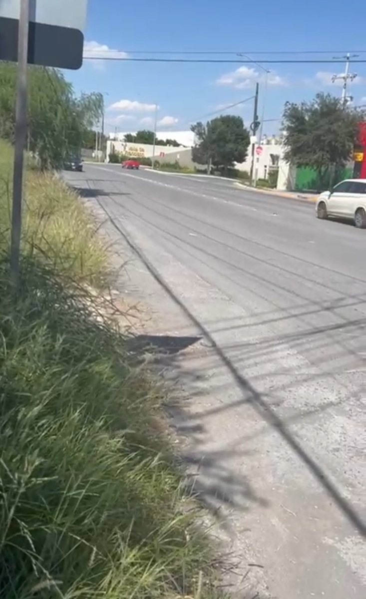 4 de 7