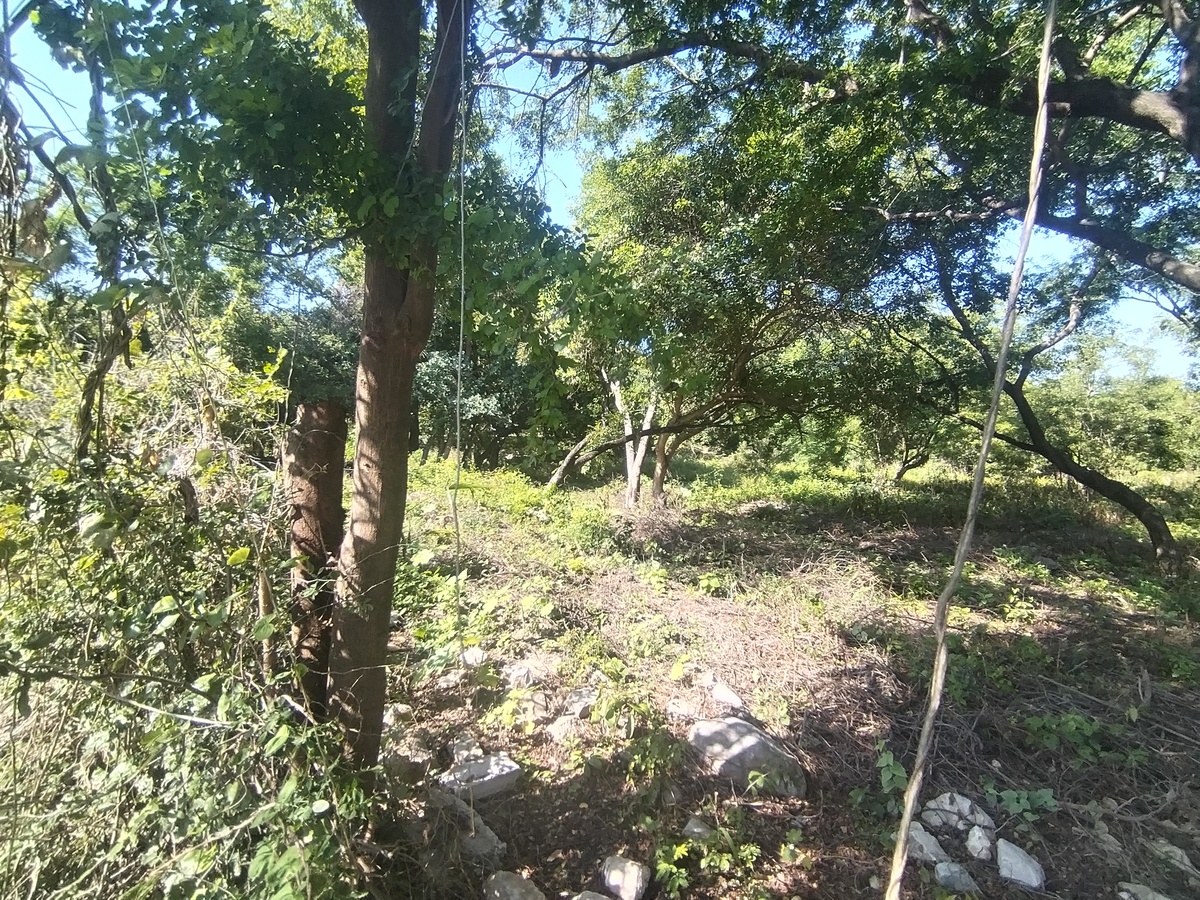 3 de 4