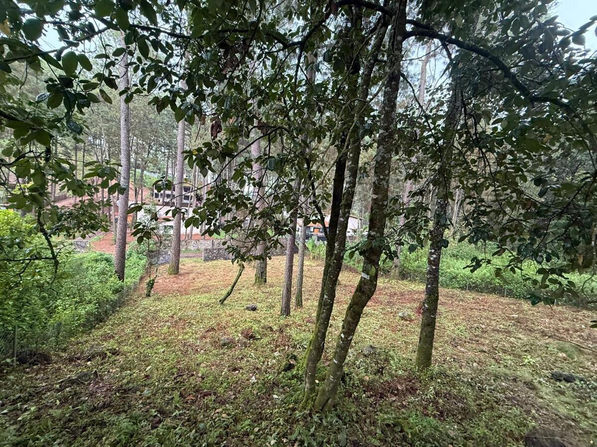 2 de 5