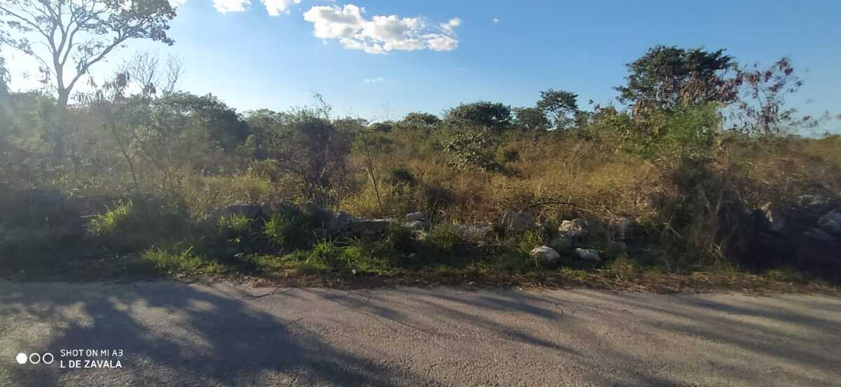 7 de 19
