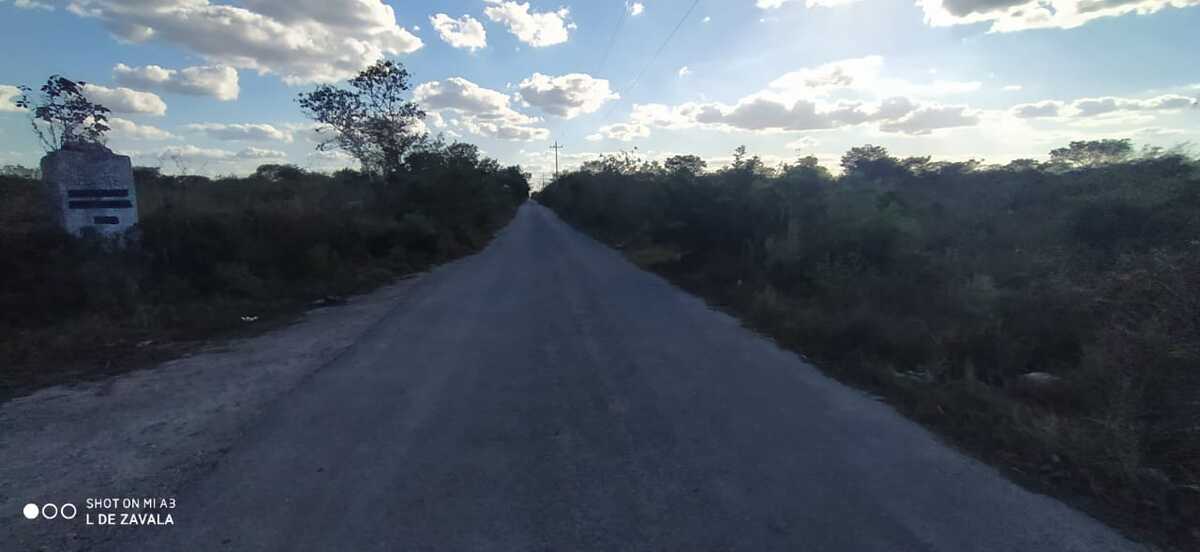 8 de 19