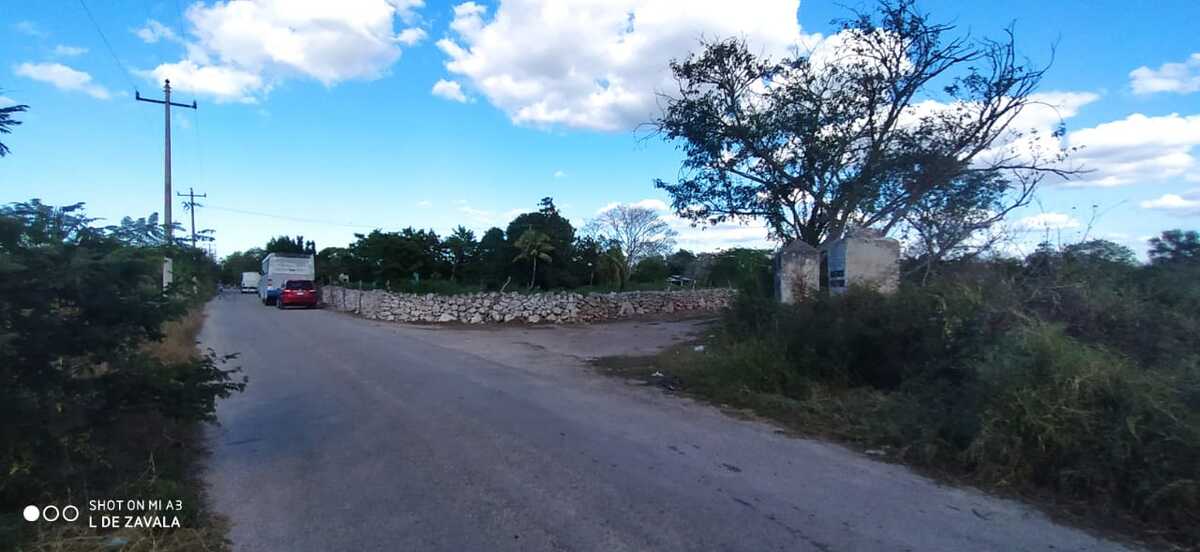 13 de 19