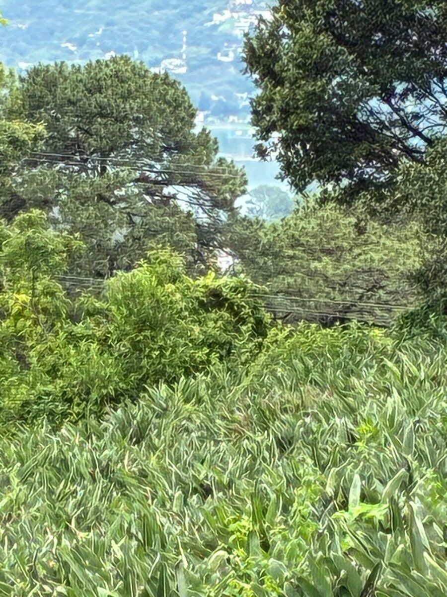 1 de 5