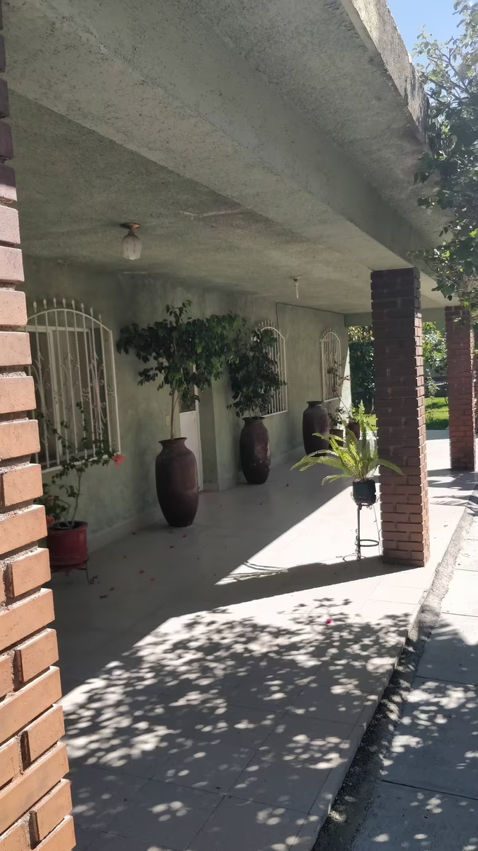 6 de 23