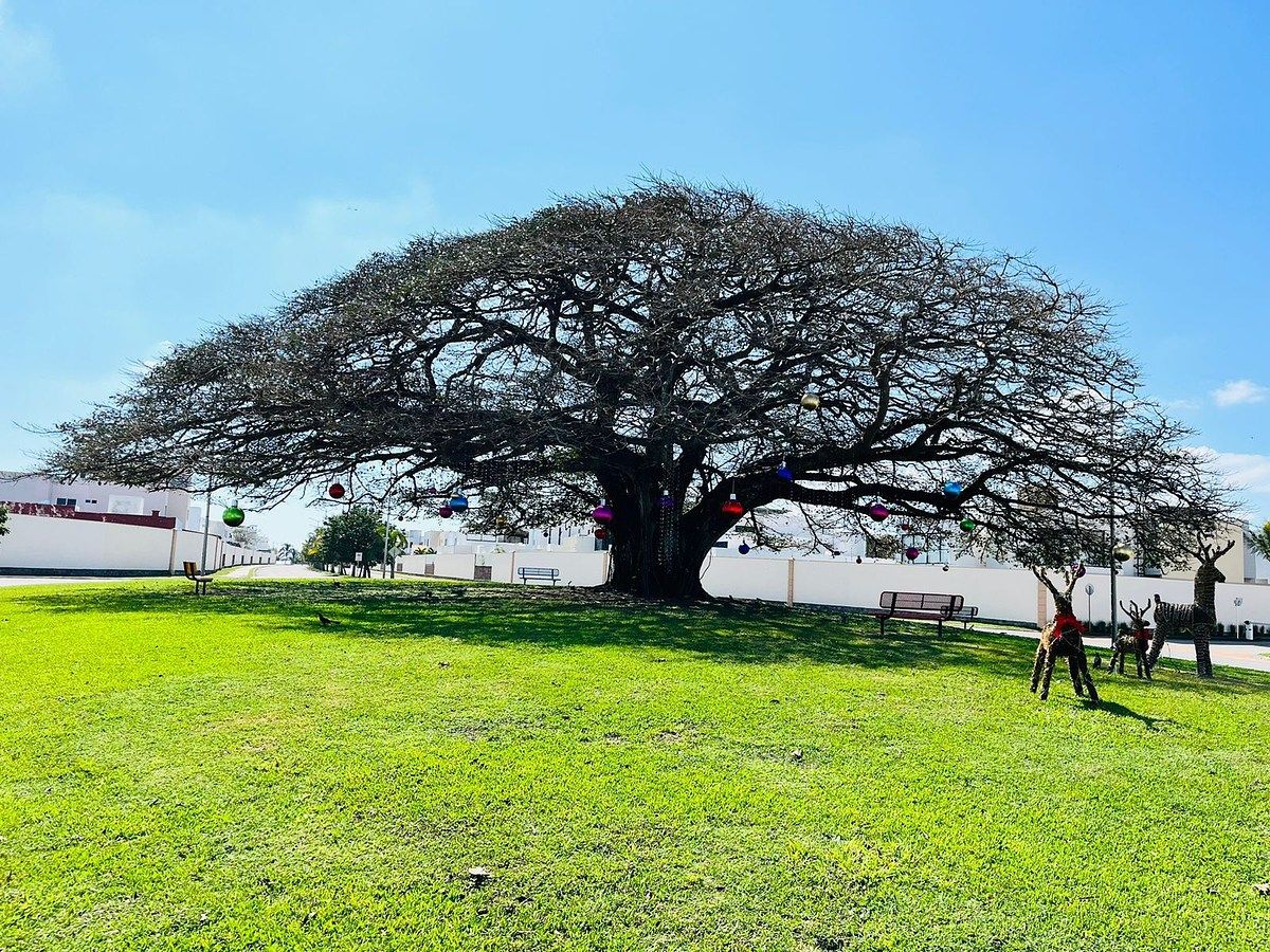 29 de 36