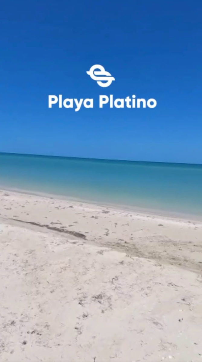 7 de 10