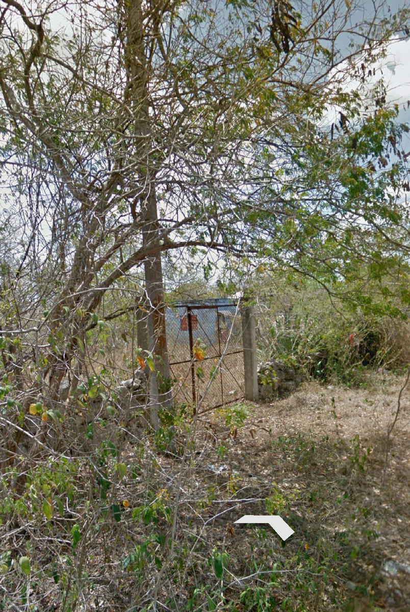 2 de 2