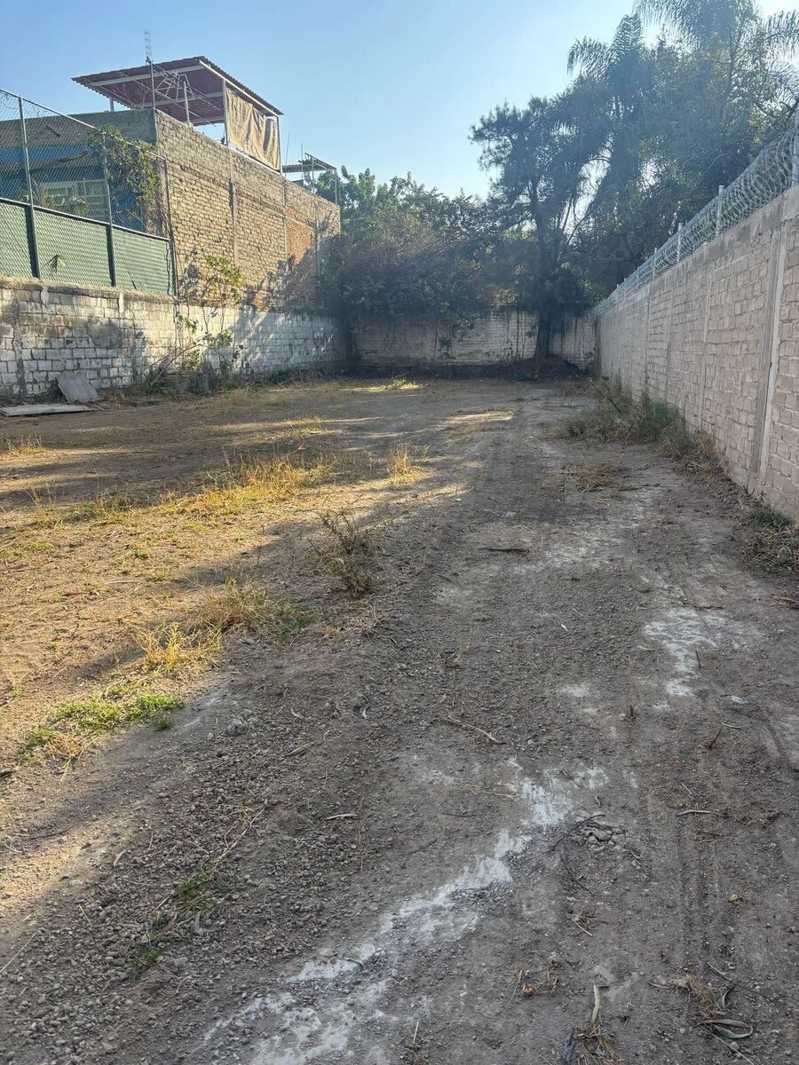 3 de 5