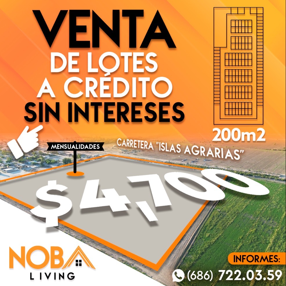 2 de 2