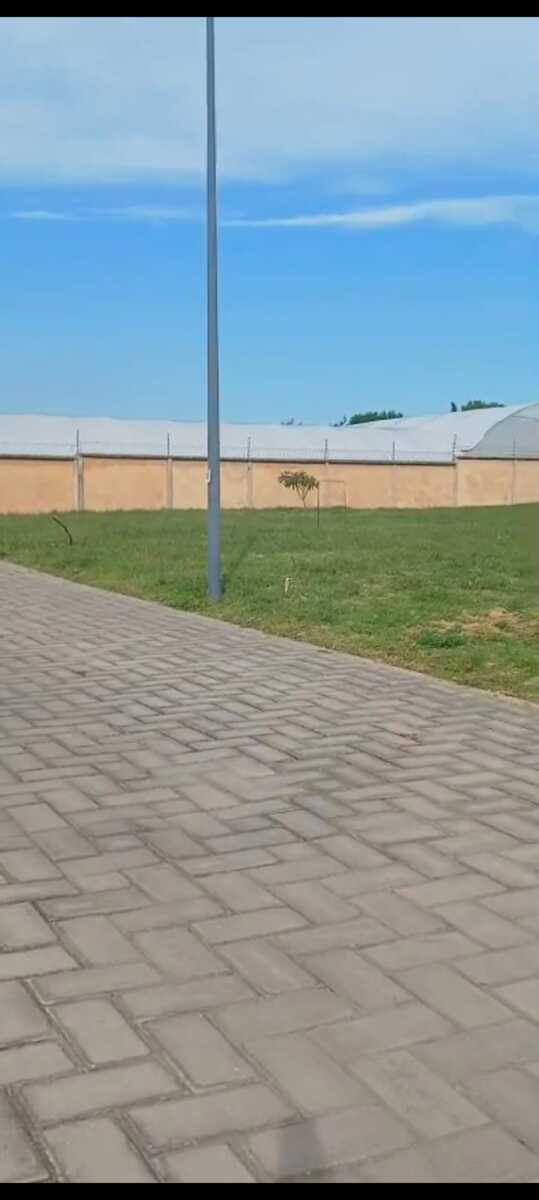 4 de 7