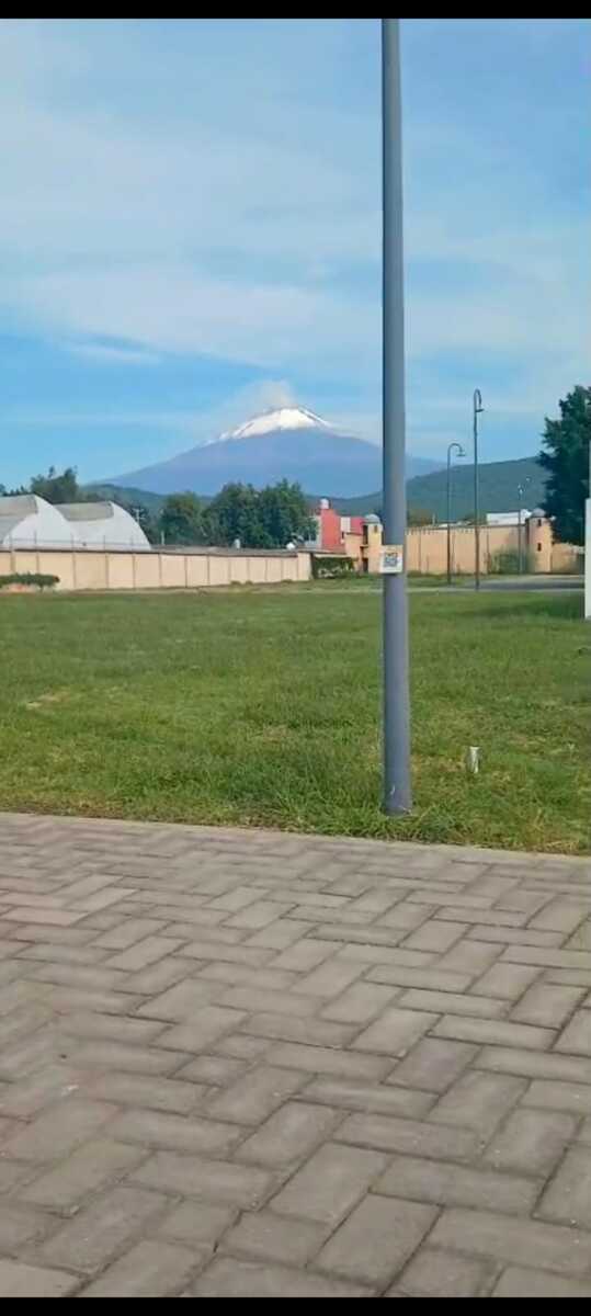 5 de 7