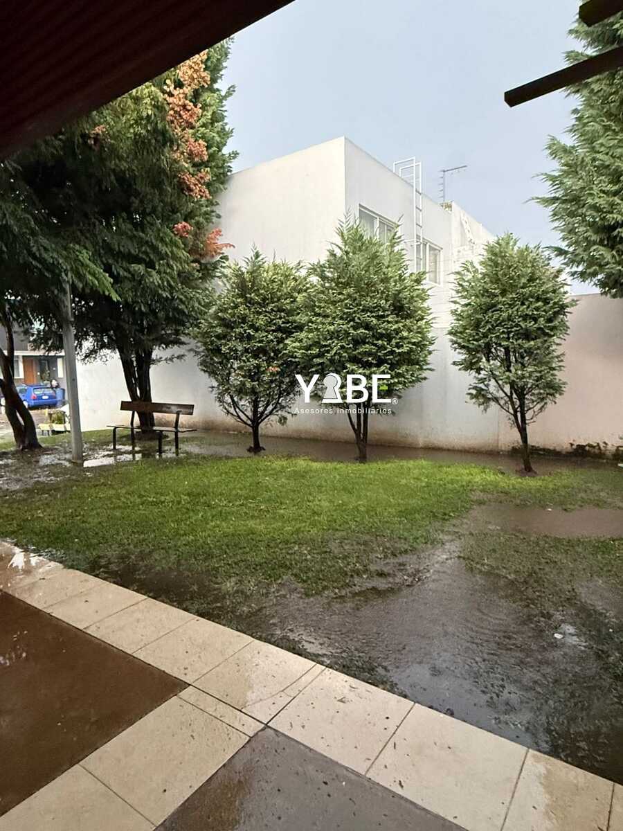 16 de 17