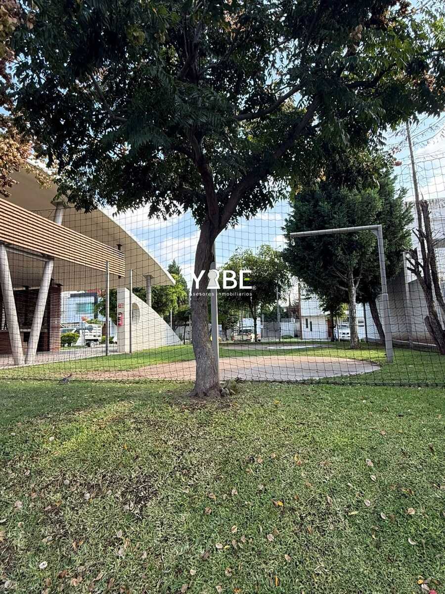 13 de 17