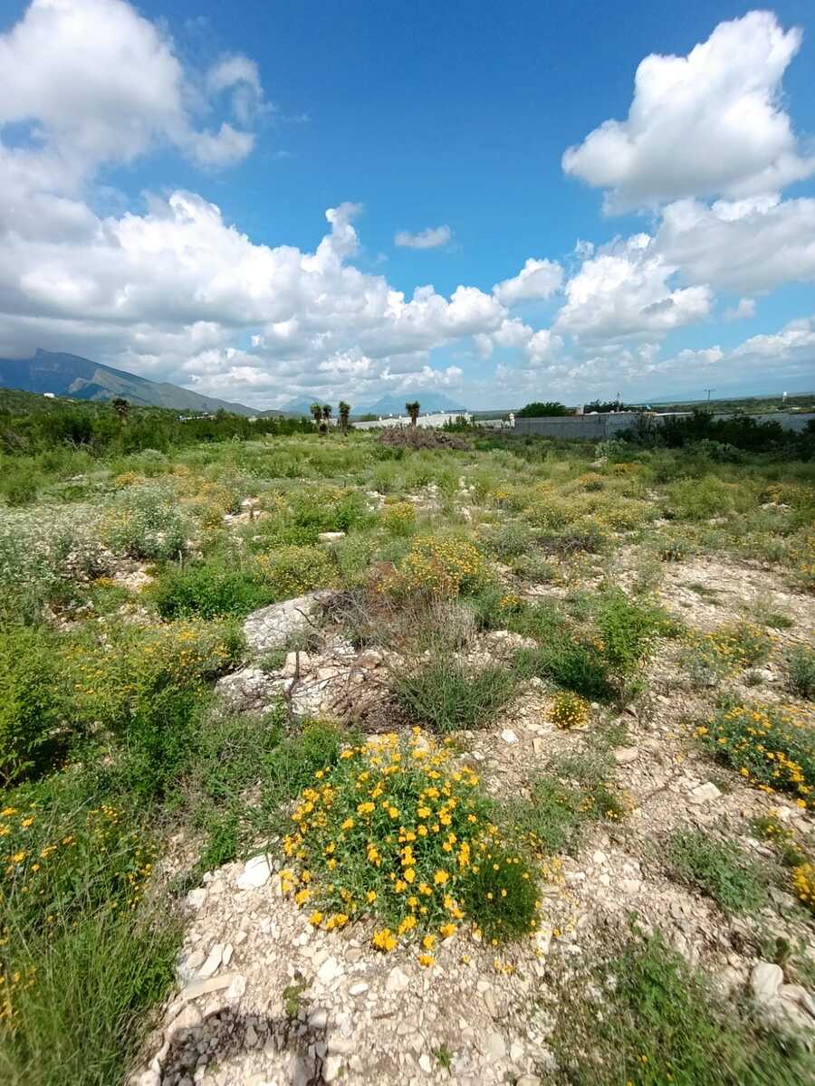 2 de 8