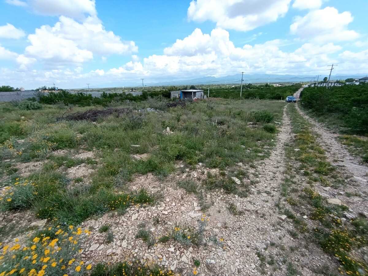 4 de 8