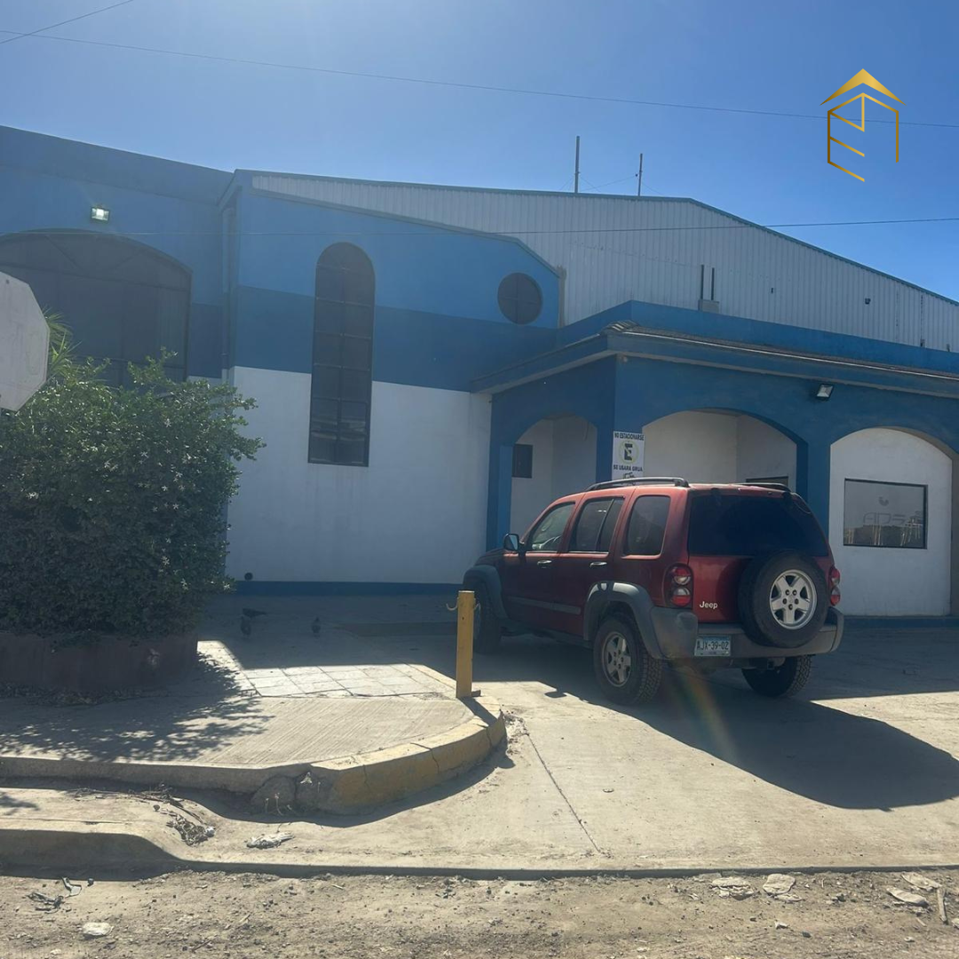 5 de 7