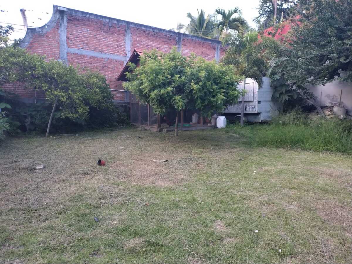 2 de 4