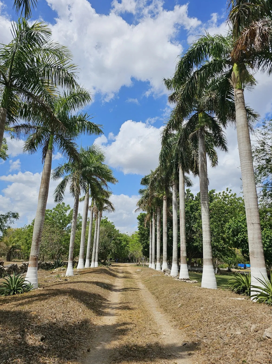 1 de 49