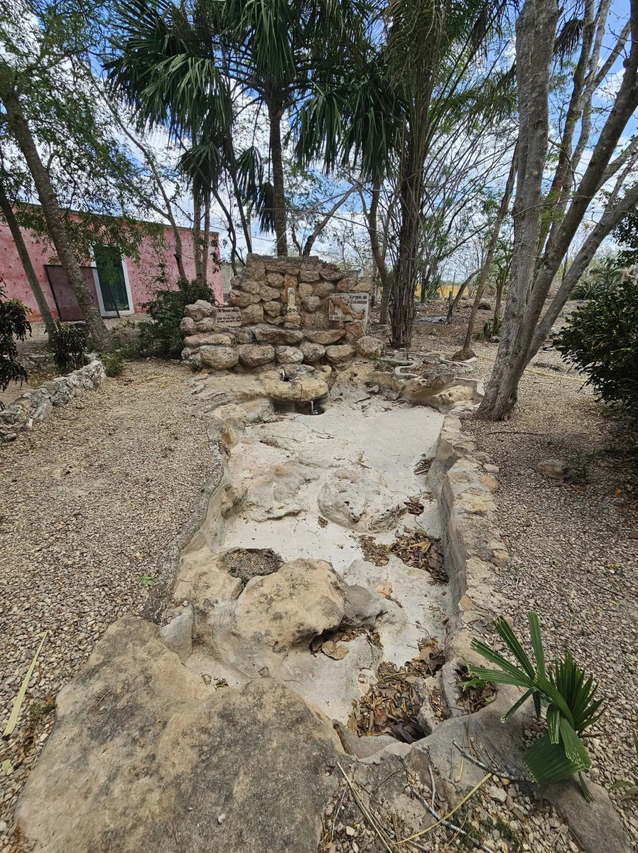 12 de 49