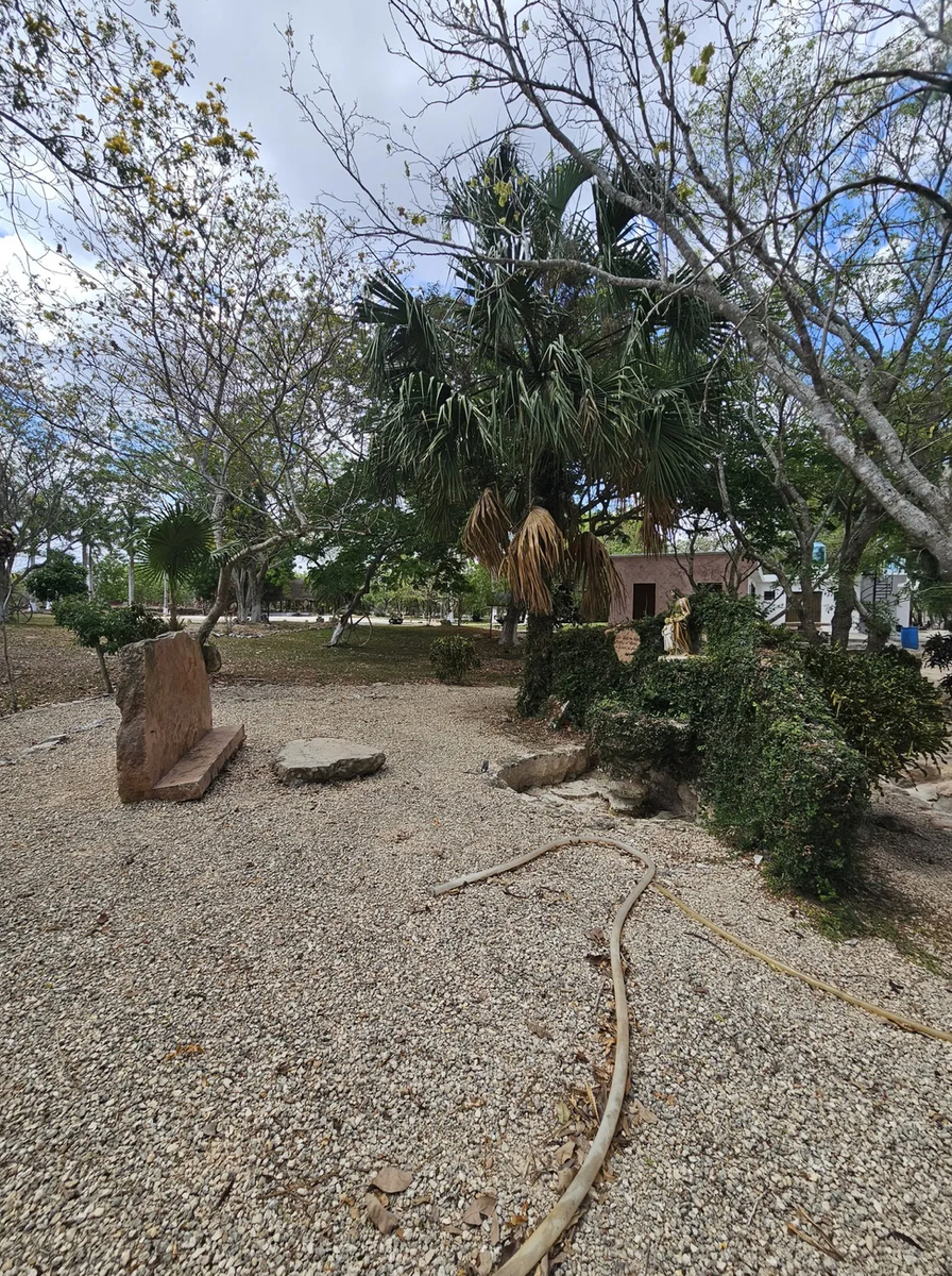 14 de 49