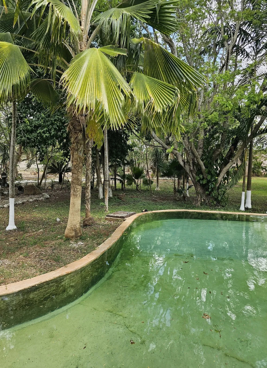 33 de 49