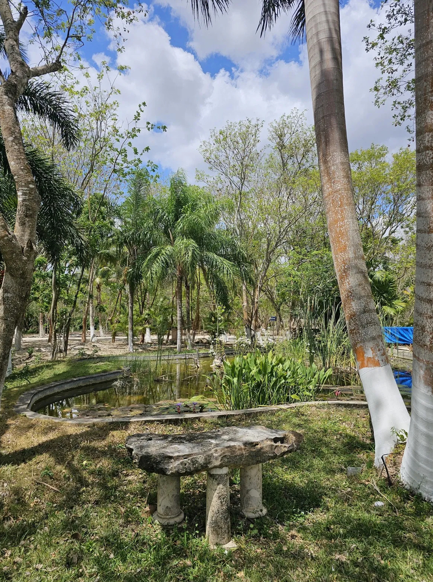 35 de 49