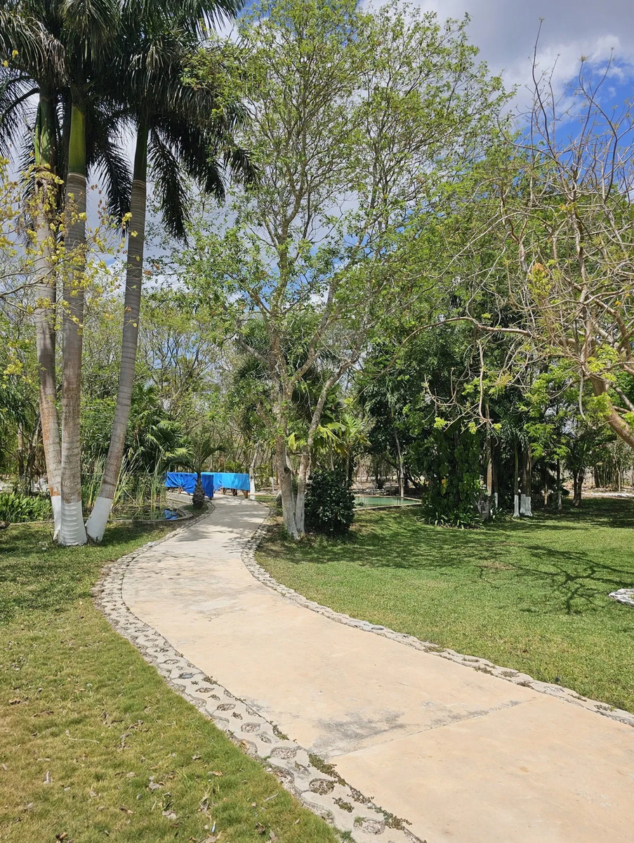 36 de 49