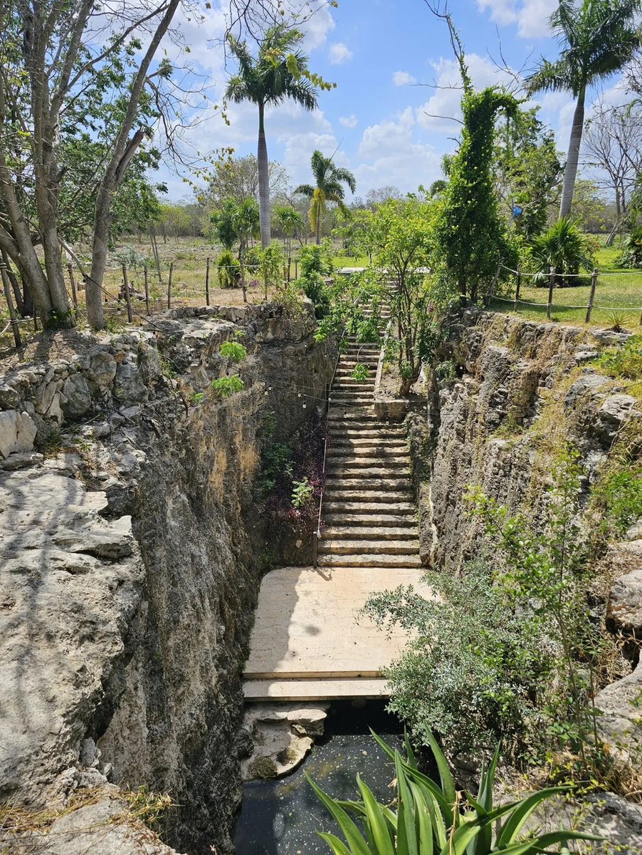 40 de 49