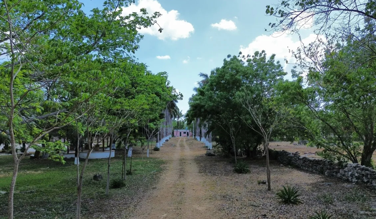 46 de 49