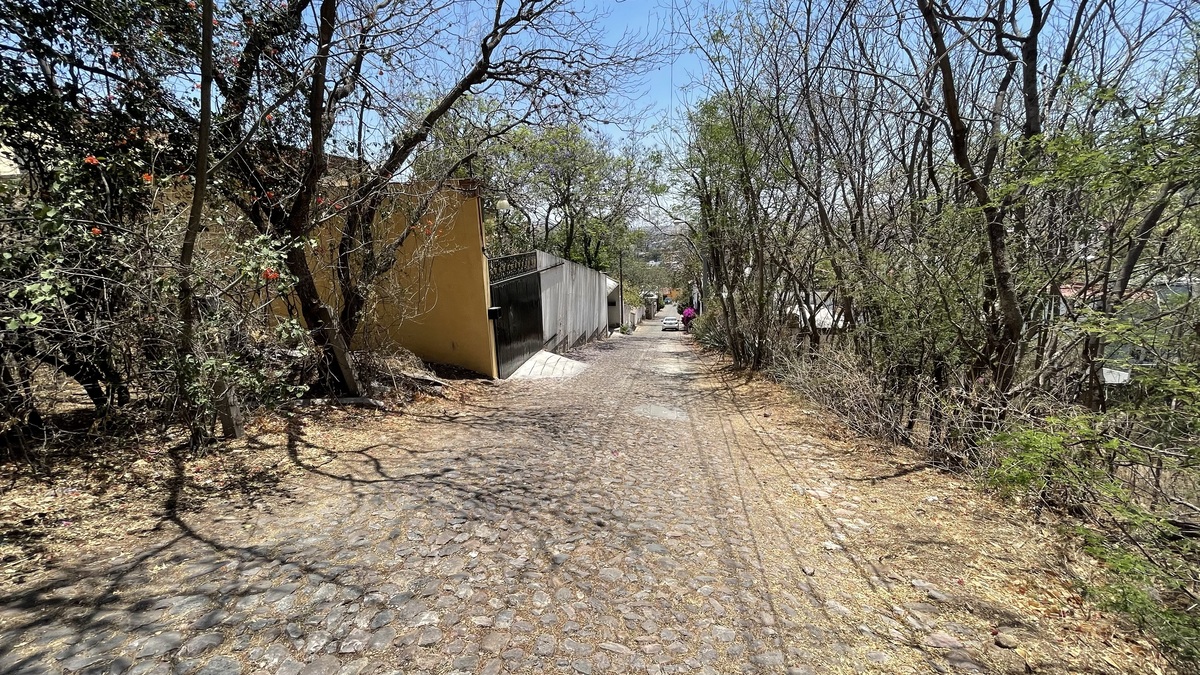 5 de 11
