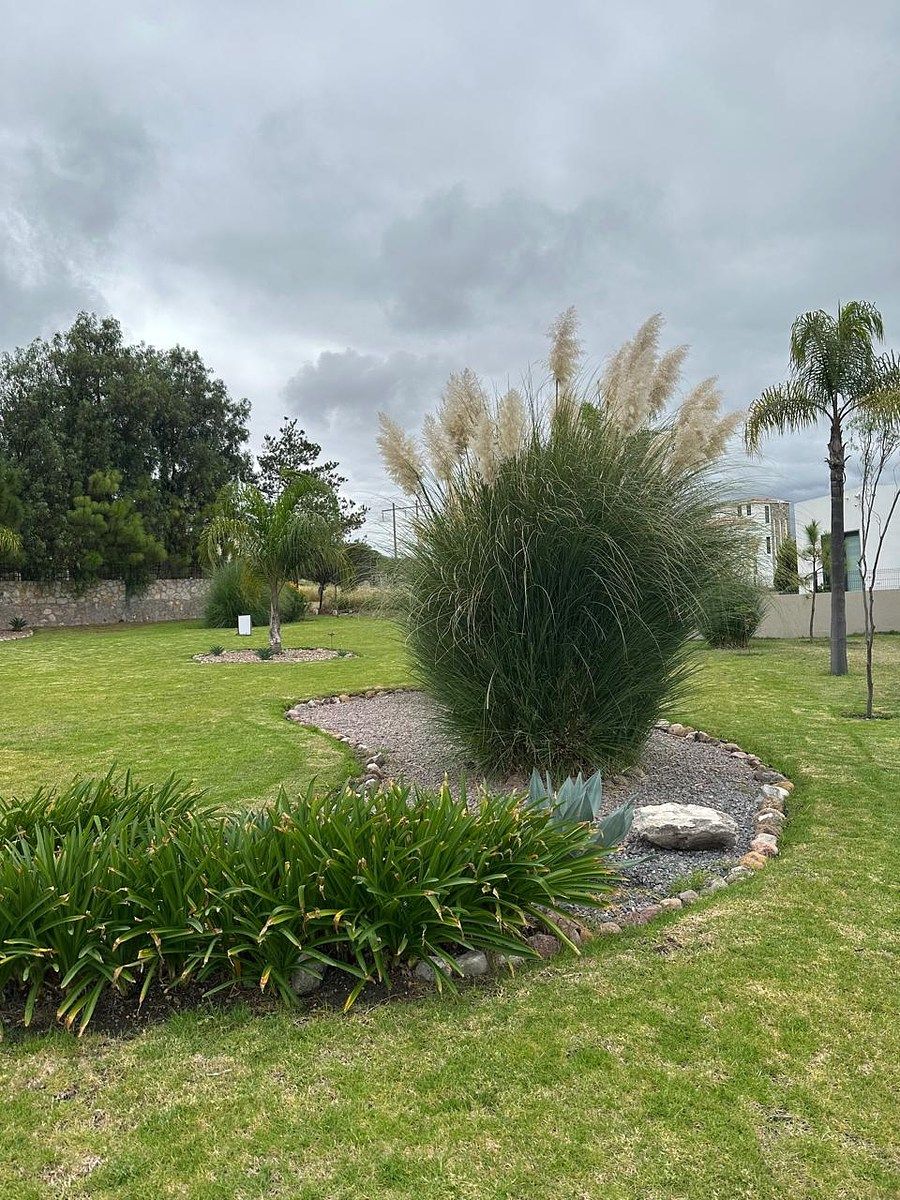 Casa en Desarrollo Hacienda La Presita, San Miguel de Allende, foto 34 de 41