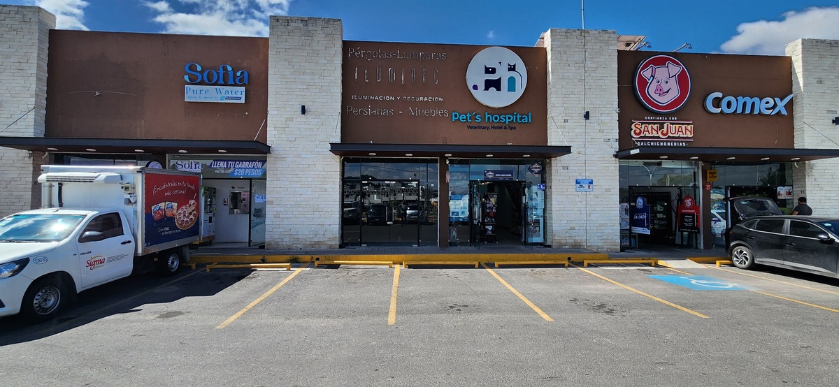 4 de 12