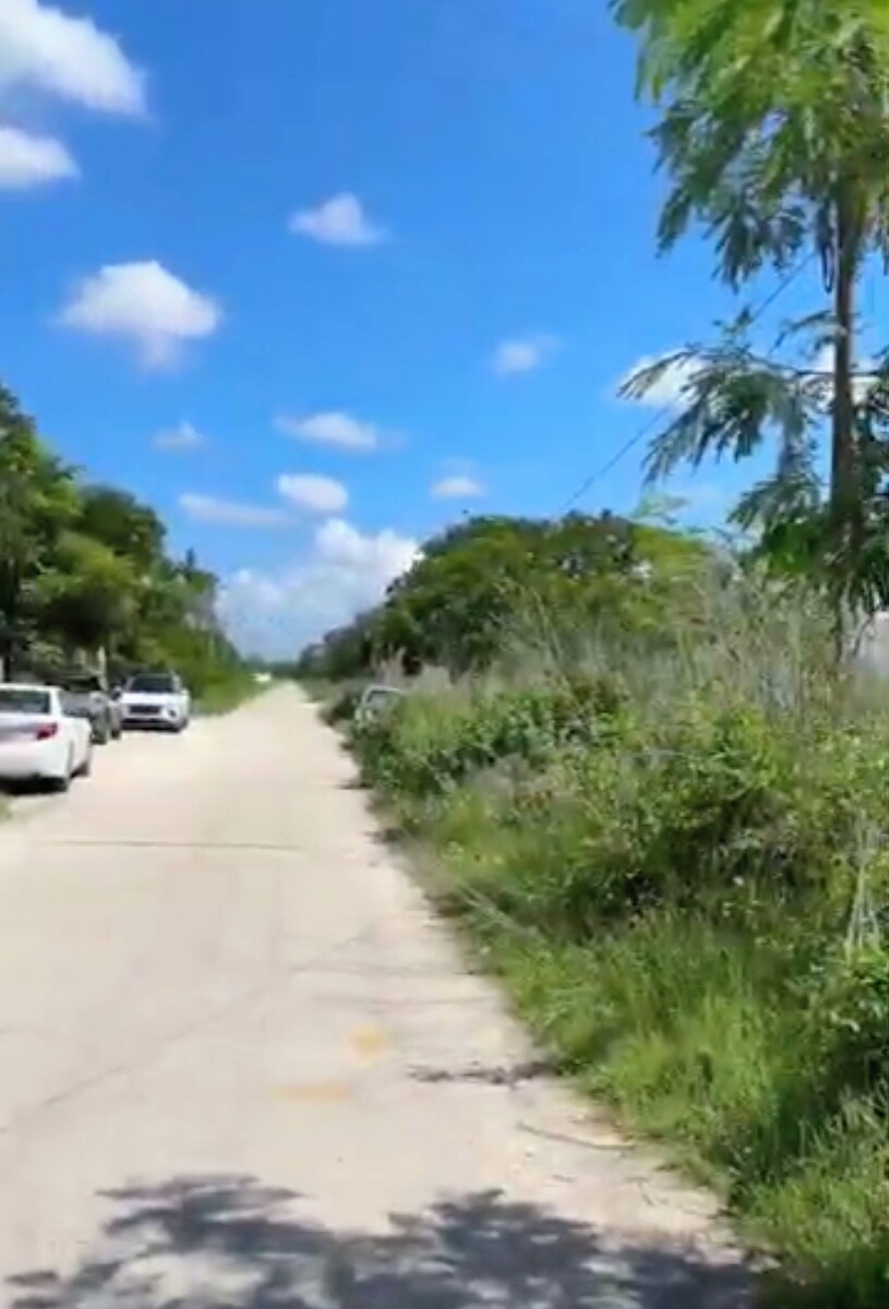 1 de 3