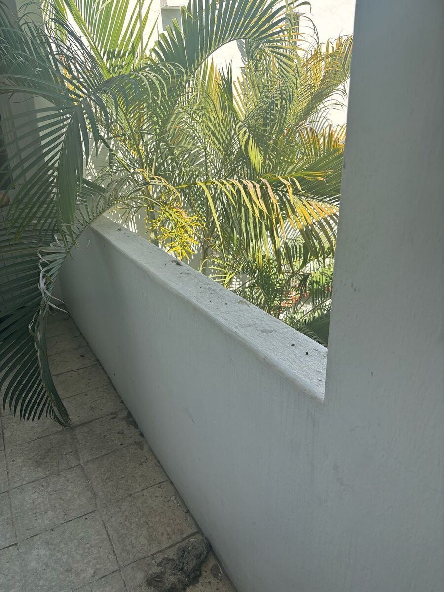 16 de 19