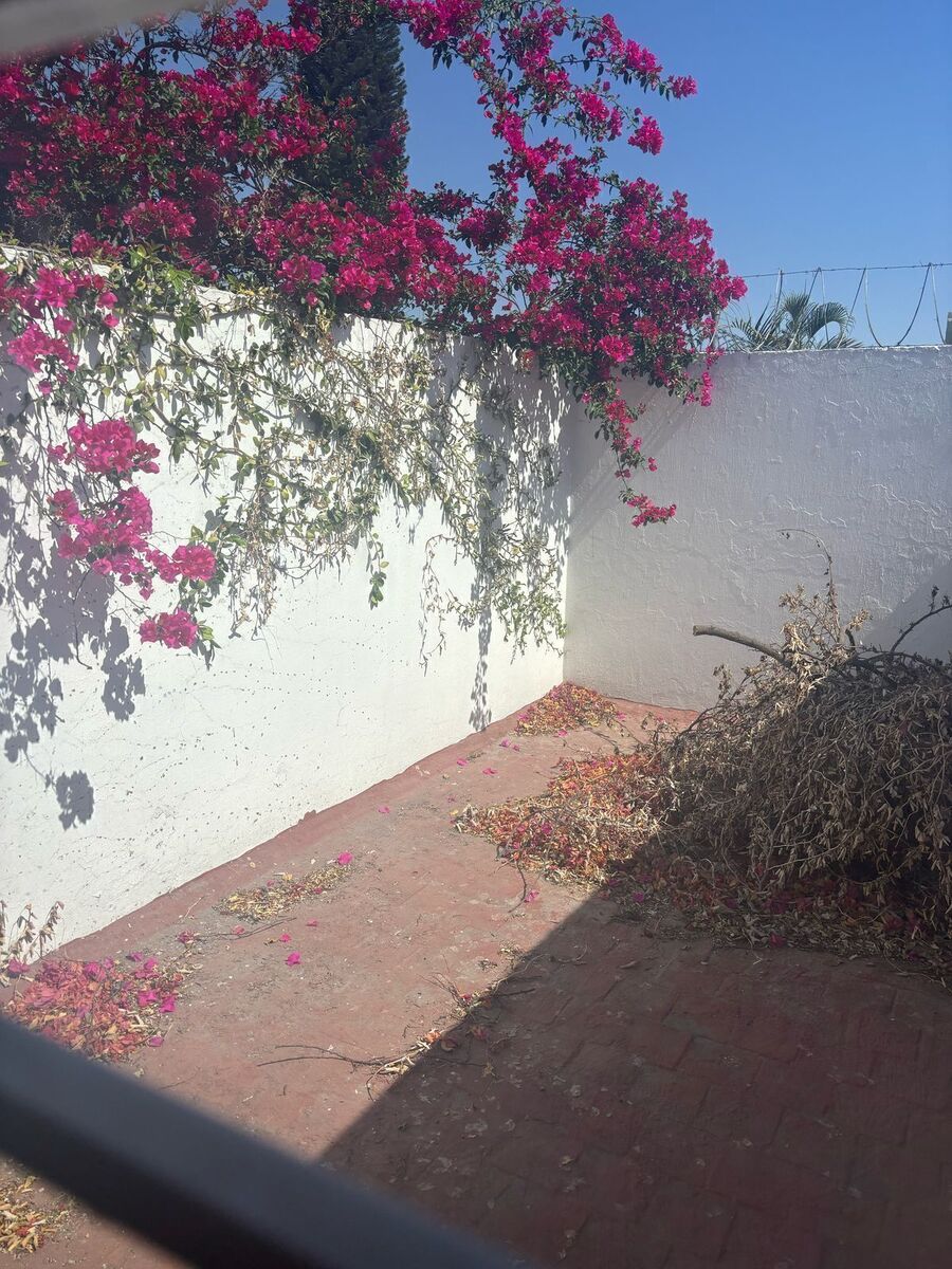 17 de 19