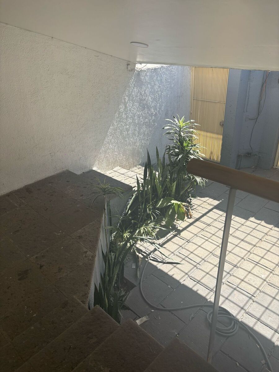 19 de 19