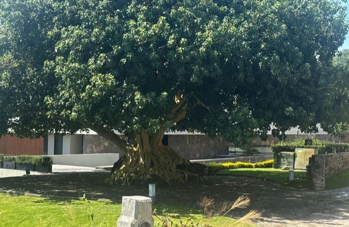 8 de 15