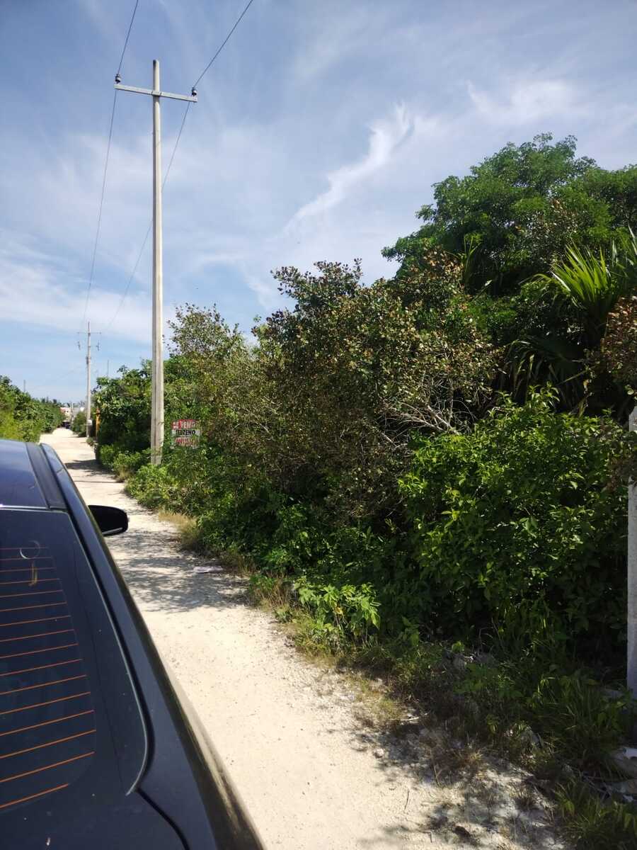 7 de 8