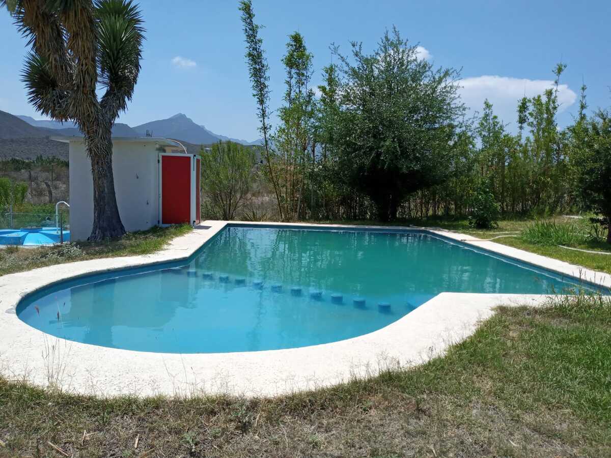 4 de 8