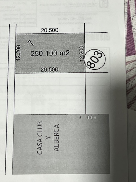 5 de 5