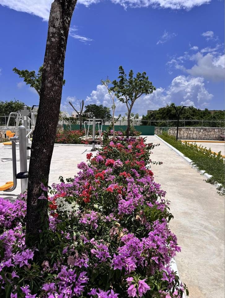 12 de 12: AREAS VERDES