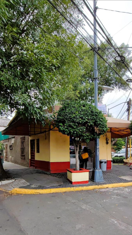 5 de 48: Lote