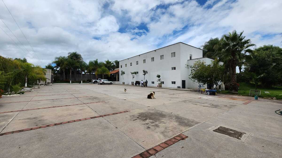 2 de 14