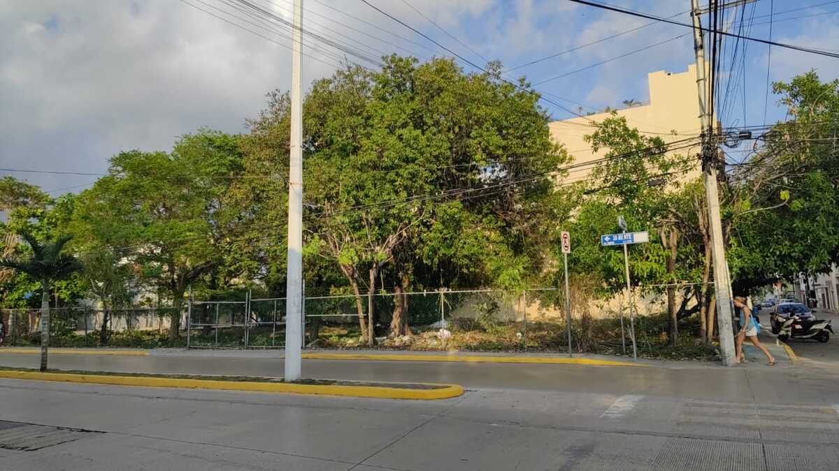 2 de 3