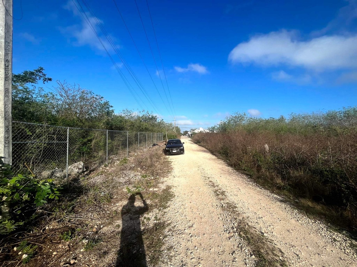 4 de 4